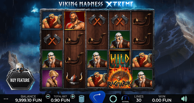 Viking Madness Xtreme gra